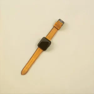 Apple iWatch Strap
